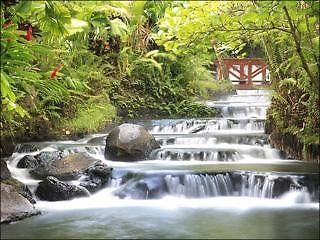 Tabacon Grand Spa Thermal Resort Arenal Eksteriør billede